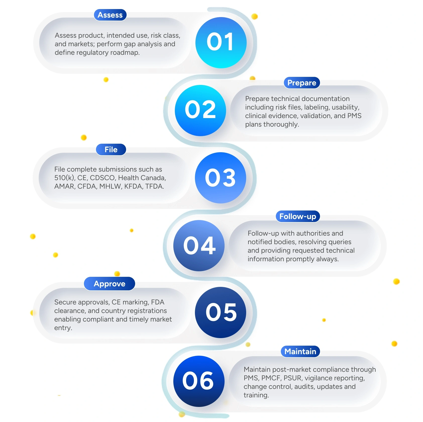 Qms process infographics