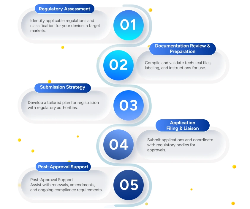 Qms process infographics