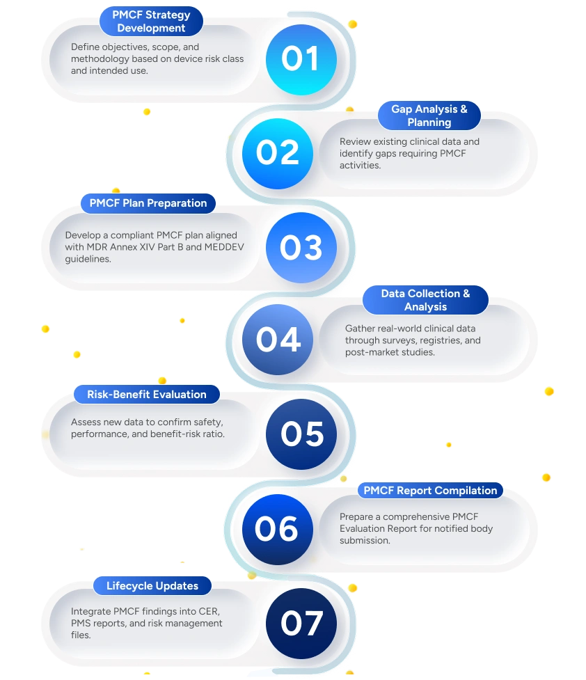 Qms process infographics