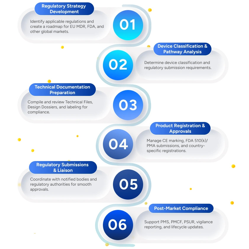 Qms process infographics